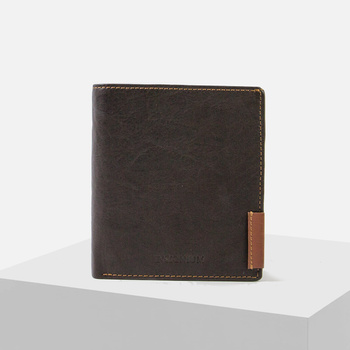 Portfel Męski INSIGNIUM Skórzany Elegancki brązowy pionowy